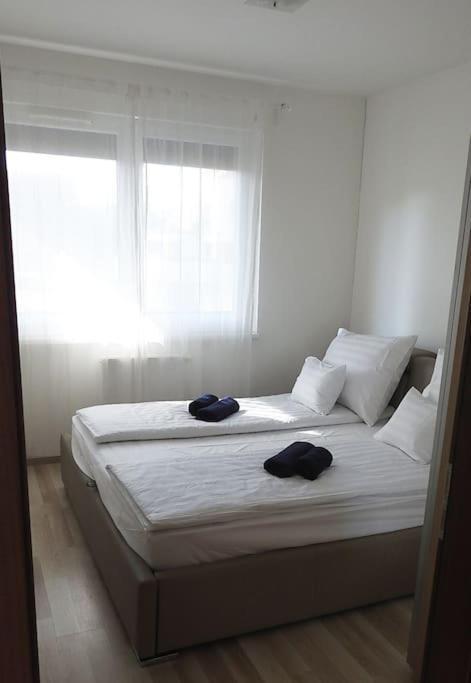 Lux Cordia With Free Parking Apartment