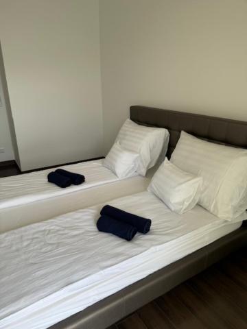 Lux Cordia With Free Parking Apartman